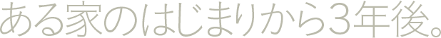 ある家のはじまりから３年後。